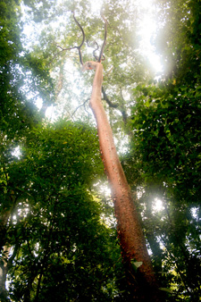 Biodiversidad