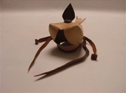 Modelo Fasciatus