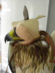 Modelo Milvus 2