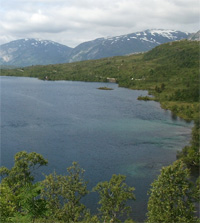 Conservacion biodiversidad