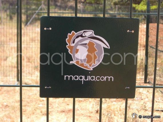 Colocación del logo de Màquia
